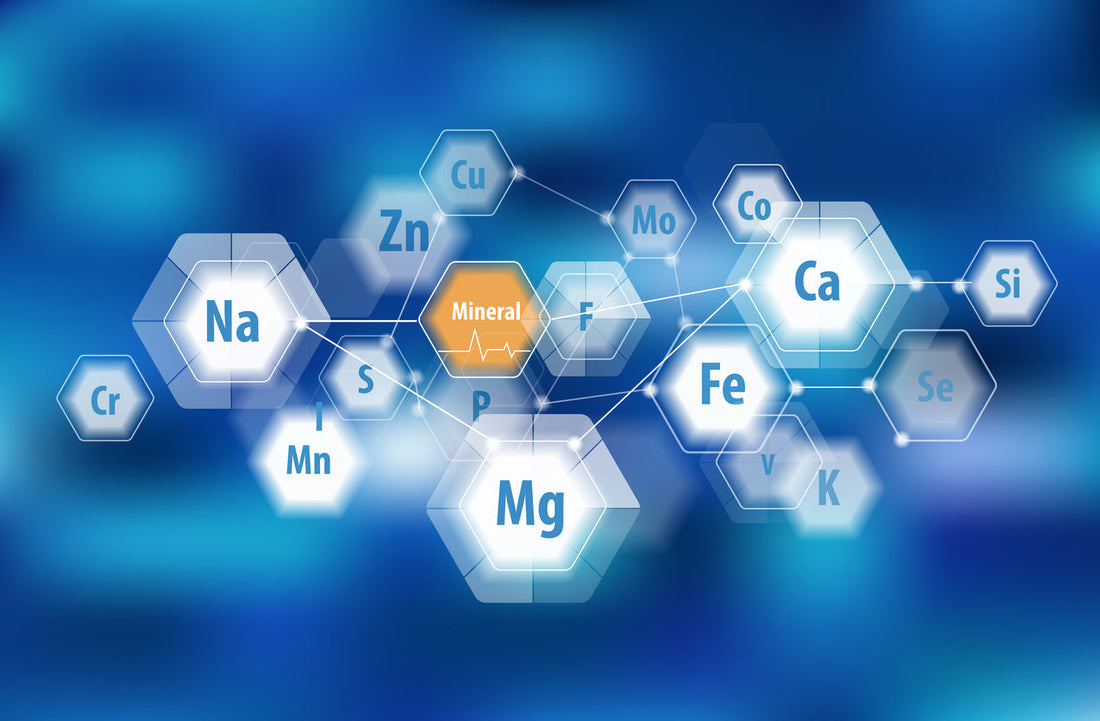 Spurenelemente für die Gesundheit – Zink, Selen, Magnesium und Kupfer aus der Natur